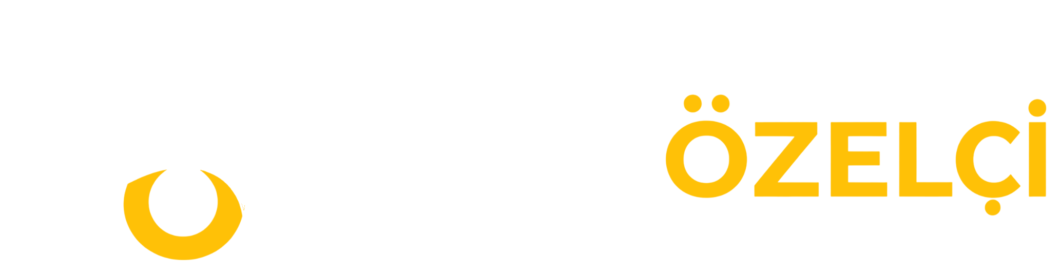 Haluk Özelçi Sepetli Platform & Vinç